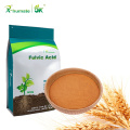 100% Water Soluble Fulvic Acid Powder